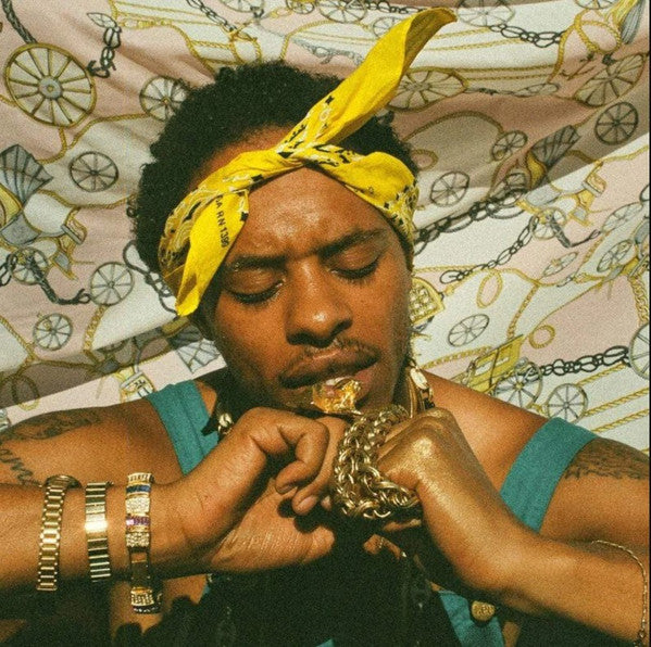 Pink Siifu - Ensley 2xLP