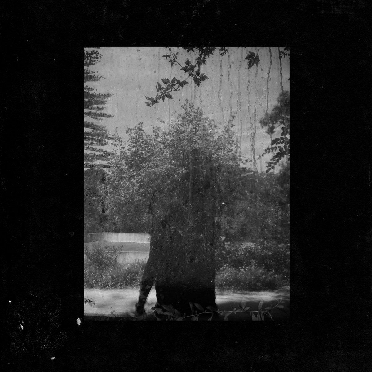 LD curated record shop – Love's Devotee